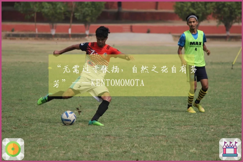 “无需过于张扬，自然之花自有芬芳”——KENTOMOMOTA