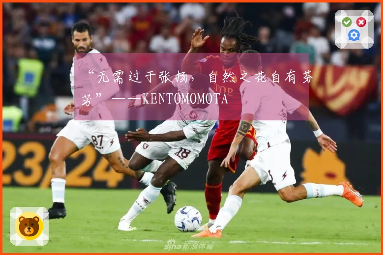 “无需过于张扬，自然之花自有芬芳”——KENTOMOMOTA